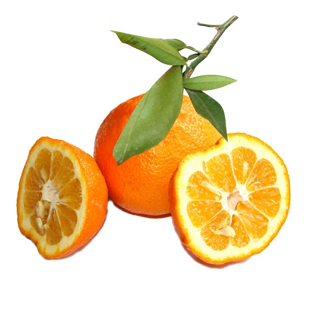 Bitter Orange (Citrus Fruit), Whole, 1oz