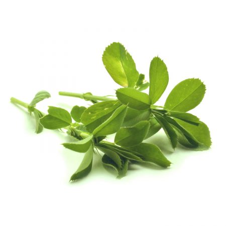 Alfalfa Leaf Extract