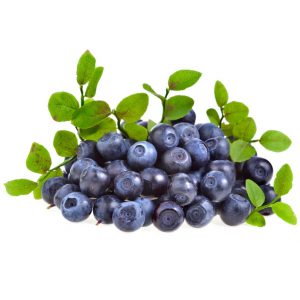 Bilberry Extract