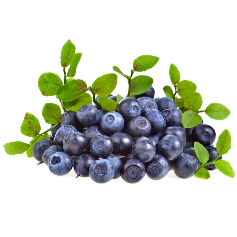 Bilberry Extract