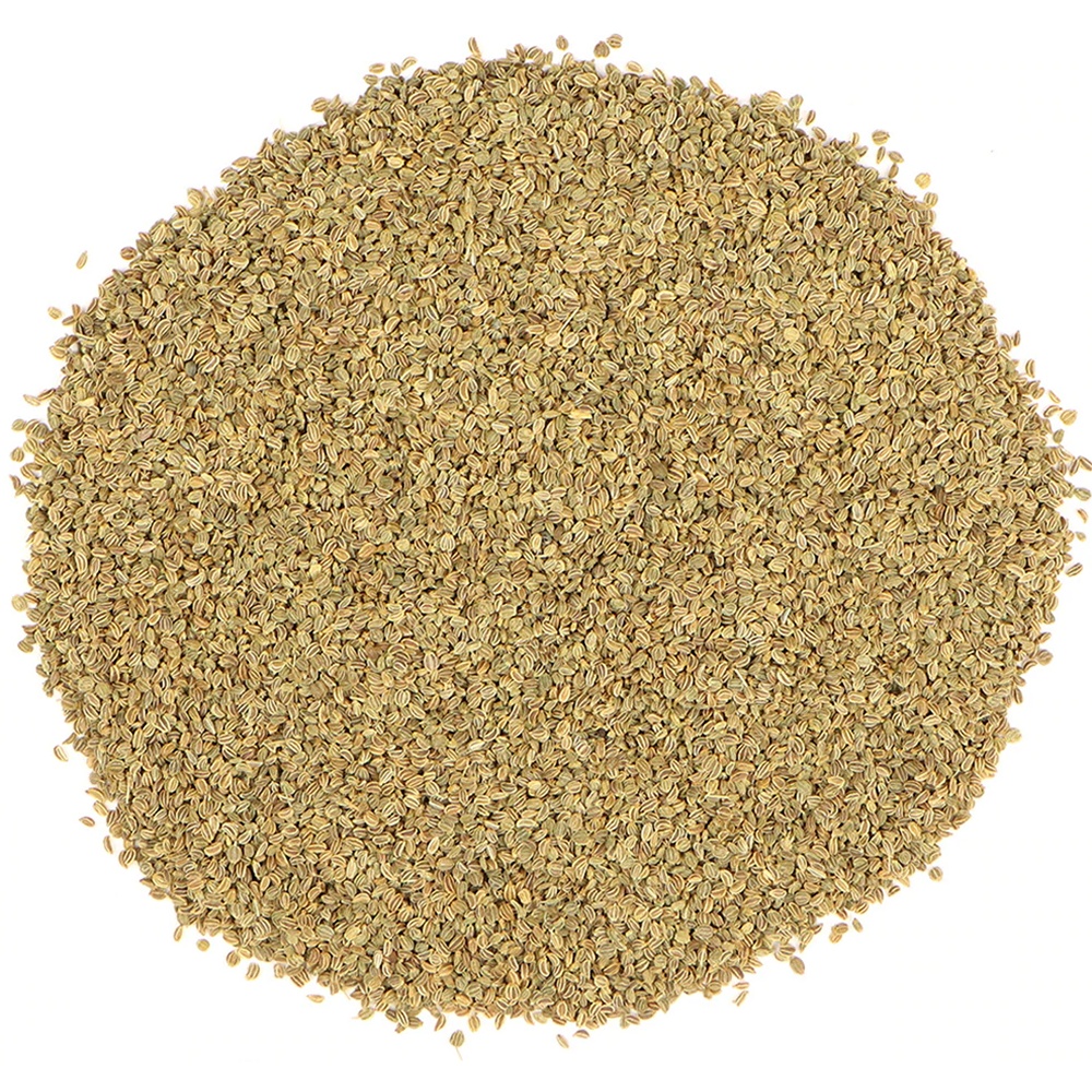 Celery Seed Herbal Extract