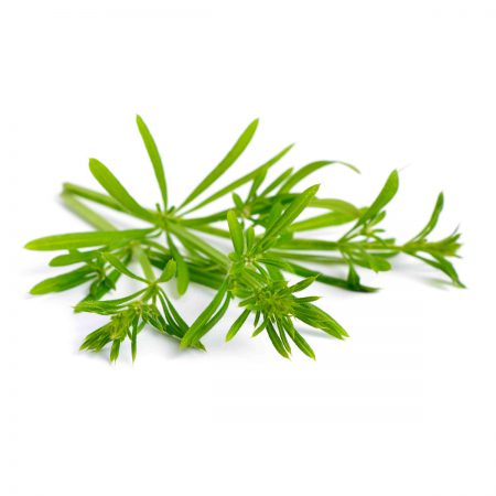 Cleavers Herb Extract