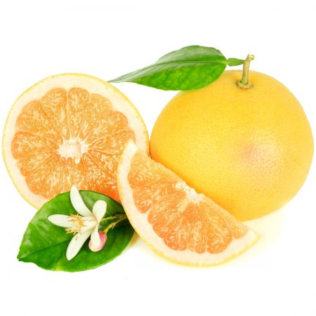 Grapefruit Seed Solvent Extract, 100% Pure