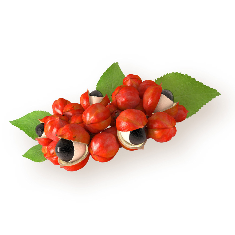Guarana Seed Extract