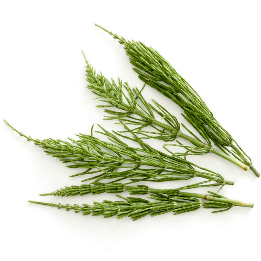 Horsetail Herb Extract