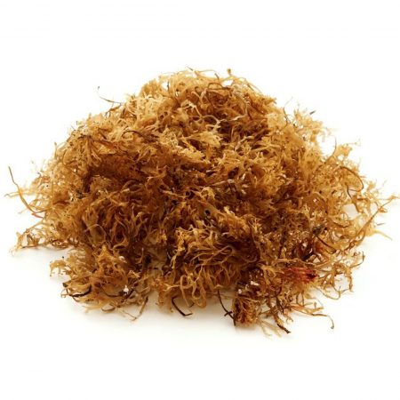 Irish Moss Extract