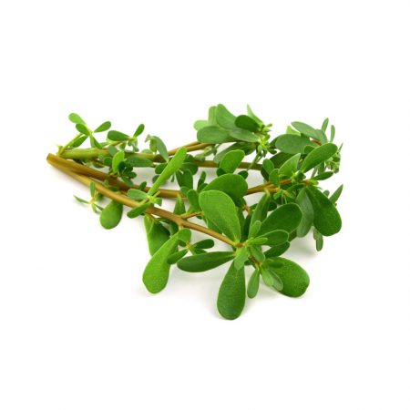 Mistletoe Leaf Extract