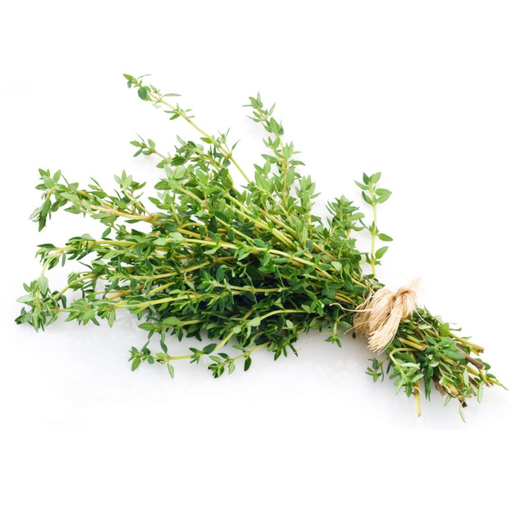Thyme Herb Extract