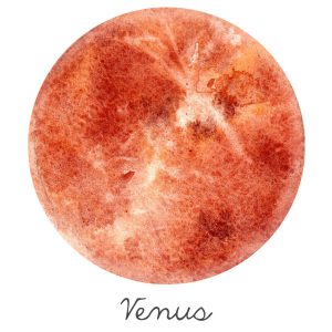 Venus Essential Oil Blend