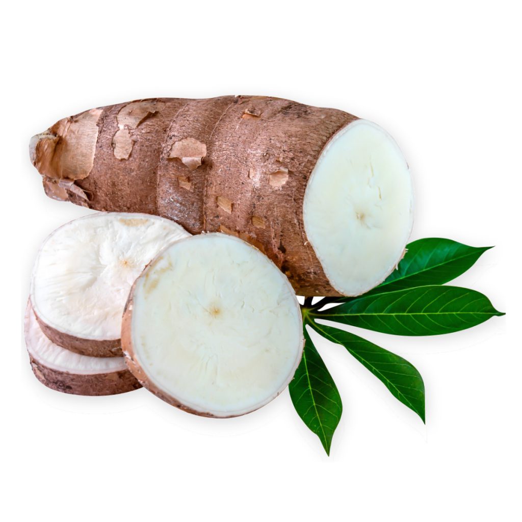 Yucca Root Extract