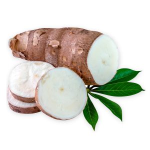 Yucca Root Extract