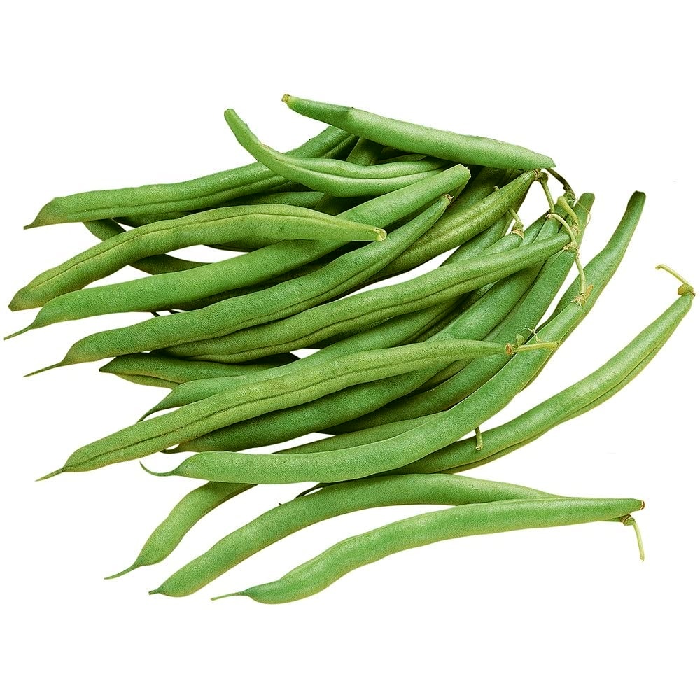 Beans, Bush Snap (Green) Seeds