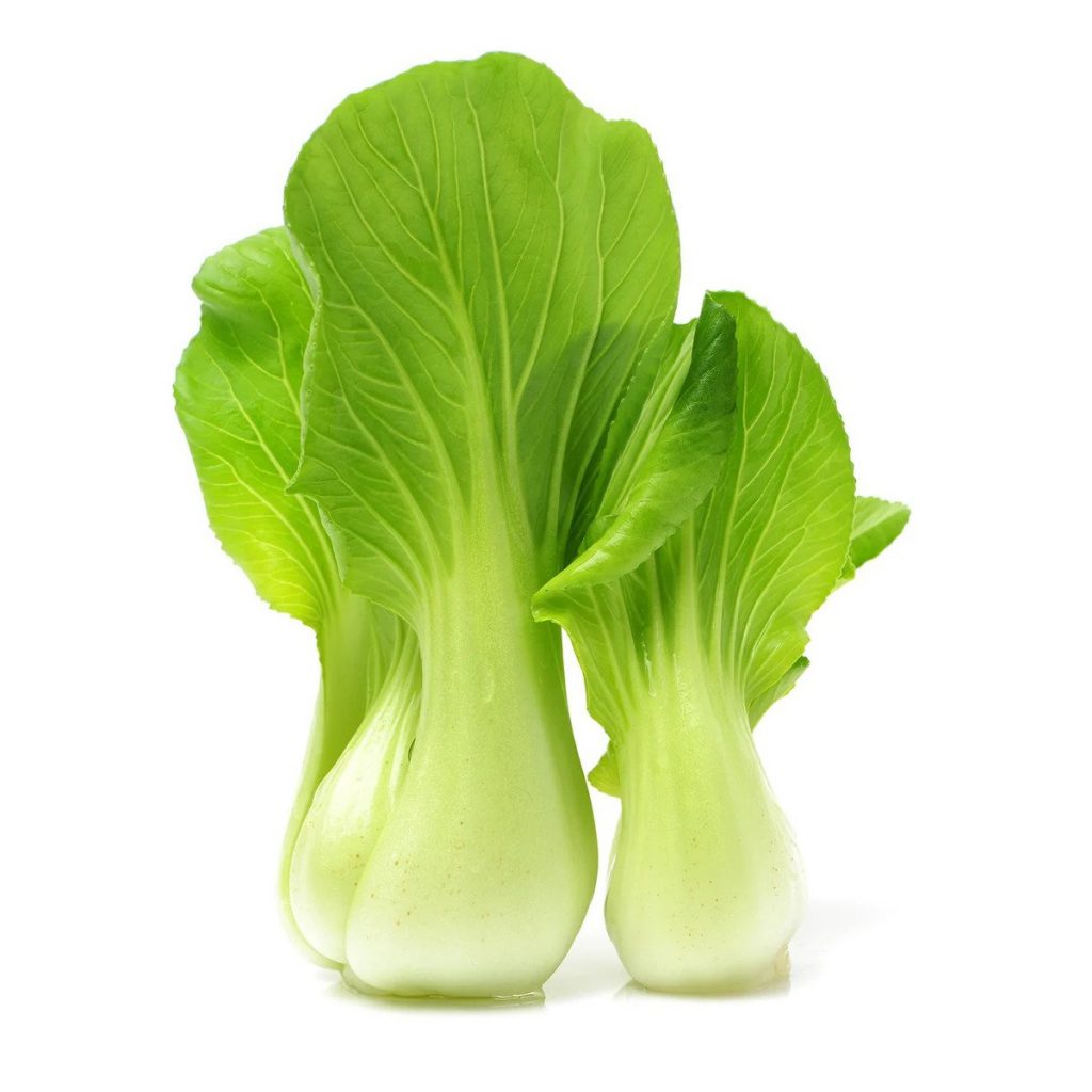 Cabbage, Bok Choy Chinese Seeds