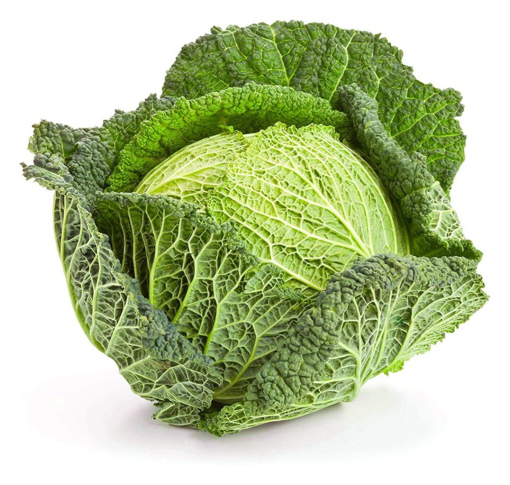 Cabbage, Savoy Express Seeds