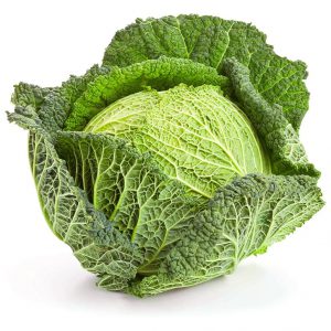 Cabbage, Savoy Express Seeds