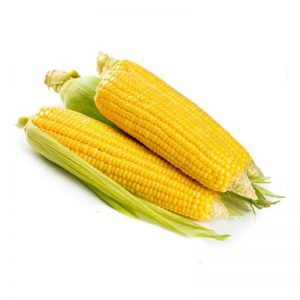 Corn, Sweet, Golden Bantam Seeds