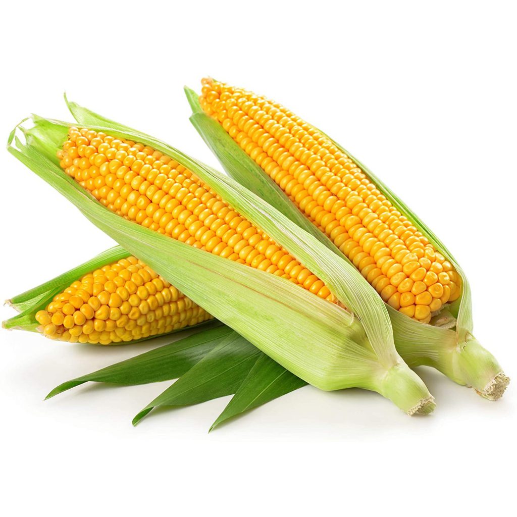 Corn, Sweet, Yellow Corn Seeds