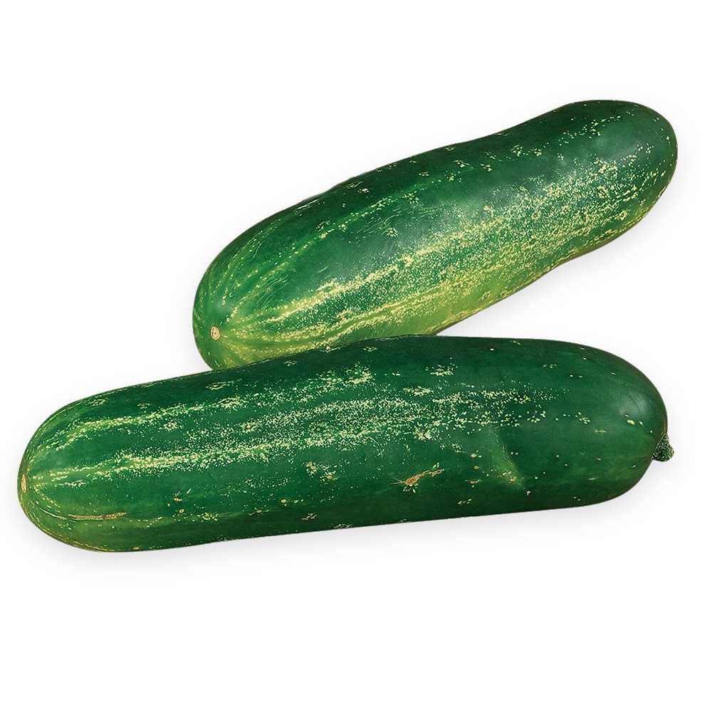 Cucumbers, Straight Eight Seeds