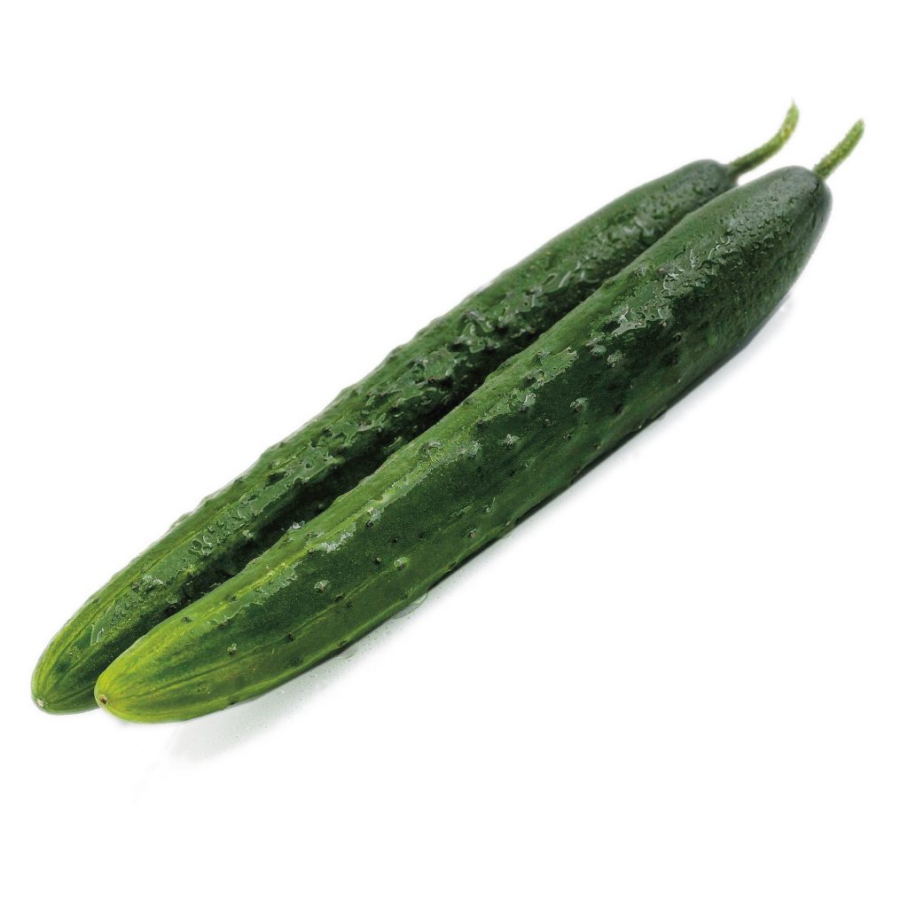 Cucumbers, Early Bush Seeds