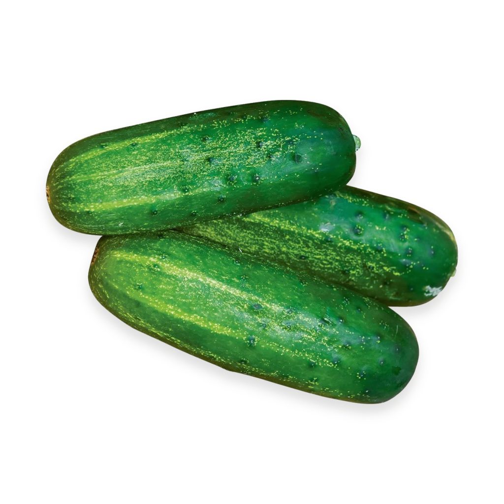 Cucumbers, Pickling Seeds