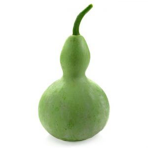 Gourds, Bird House Seeds