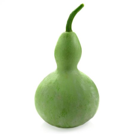Gourds, Bird House Seeds