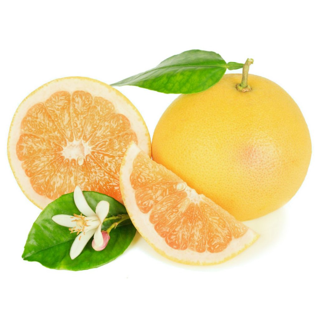 Grapefruit Tree Seeds