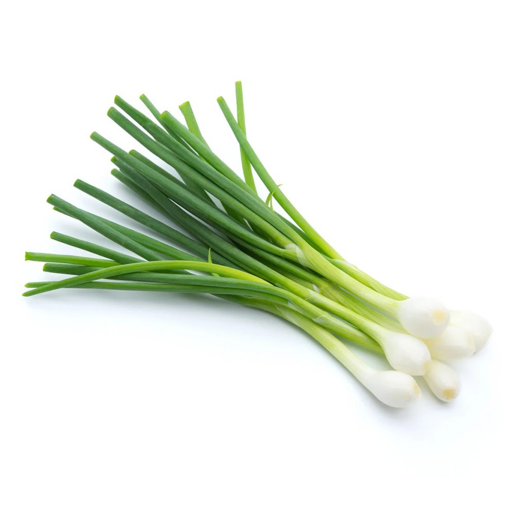 Onions, Early Spring Seeds