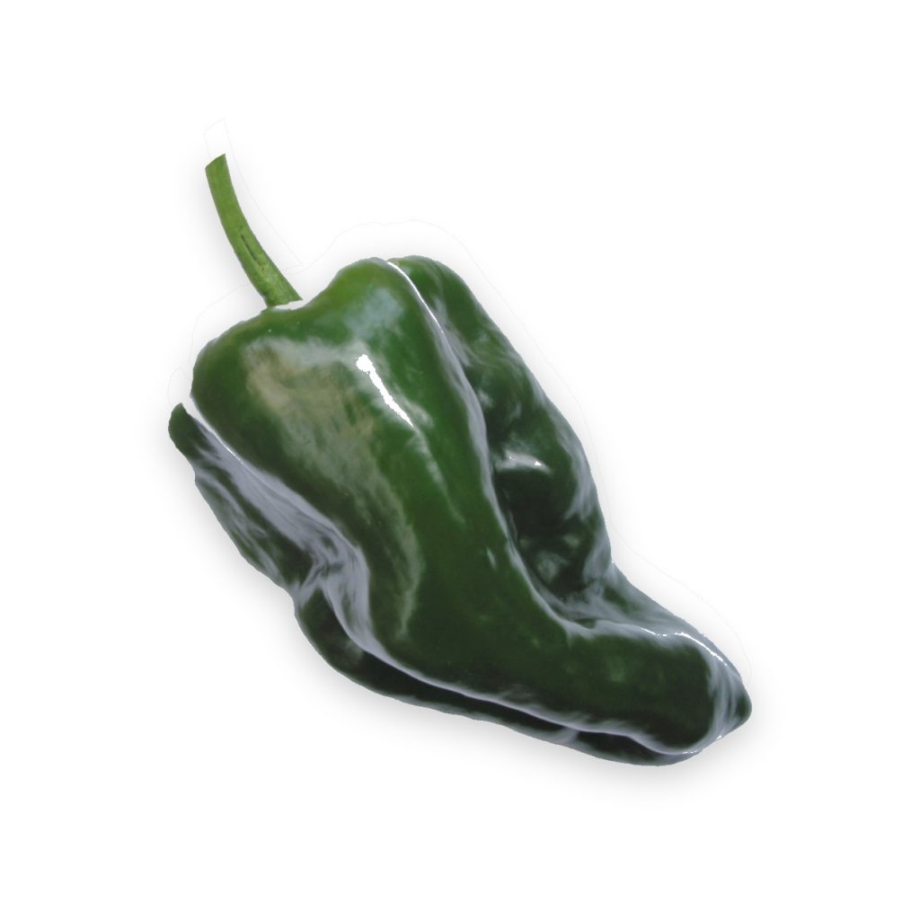 Ancho Poblano Chili Pepper Seeds, Hot Hot