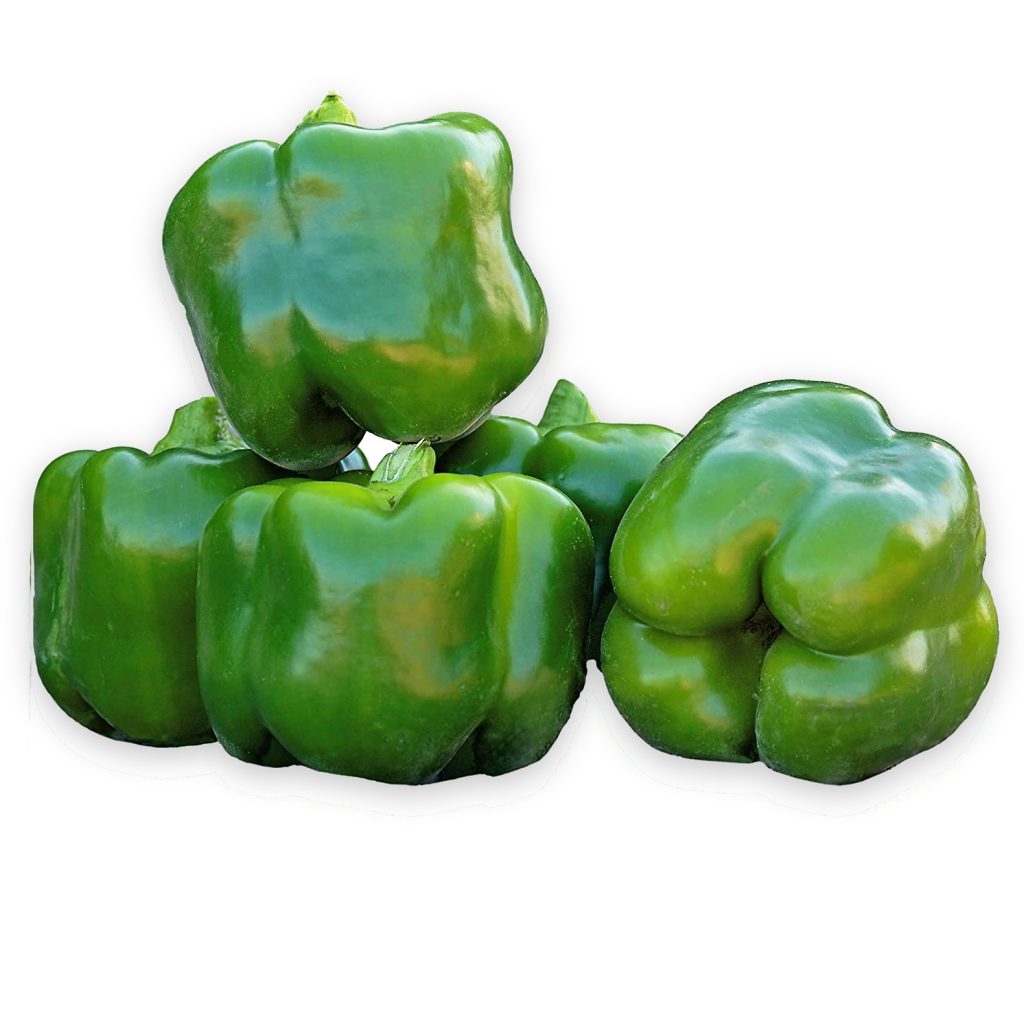 Bell Pepper Seeds, Green Whopper, Very Sweet