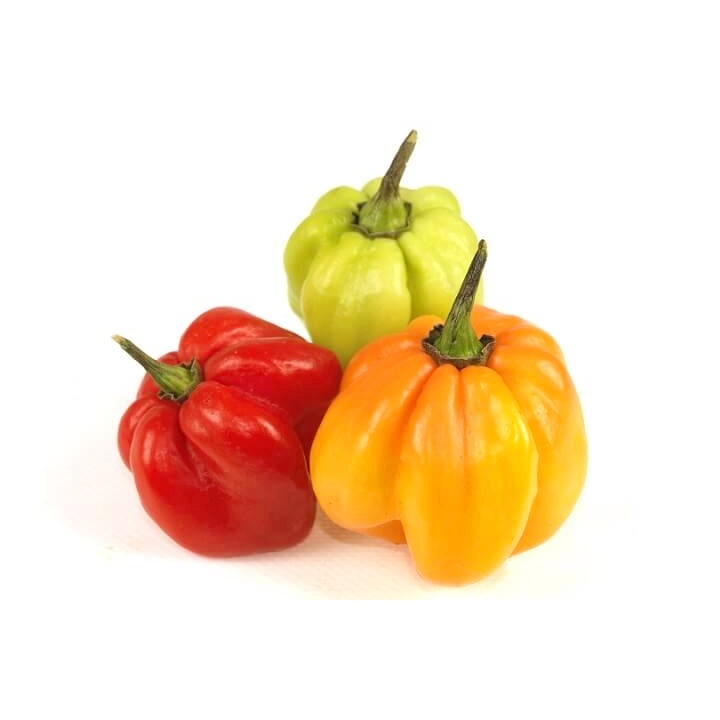 Scotch Bonnet Chili Pepper Seeds, Hot Hot Hot