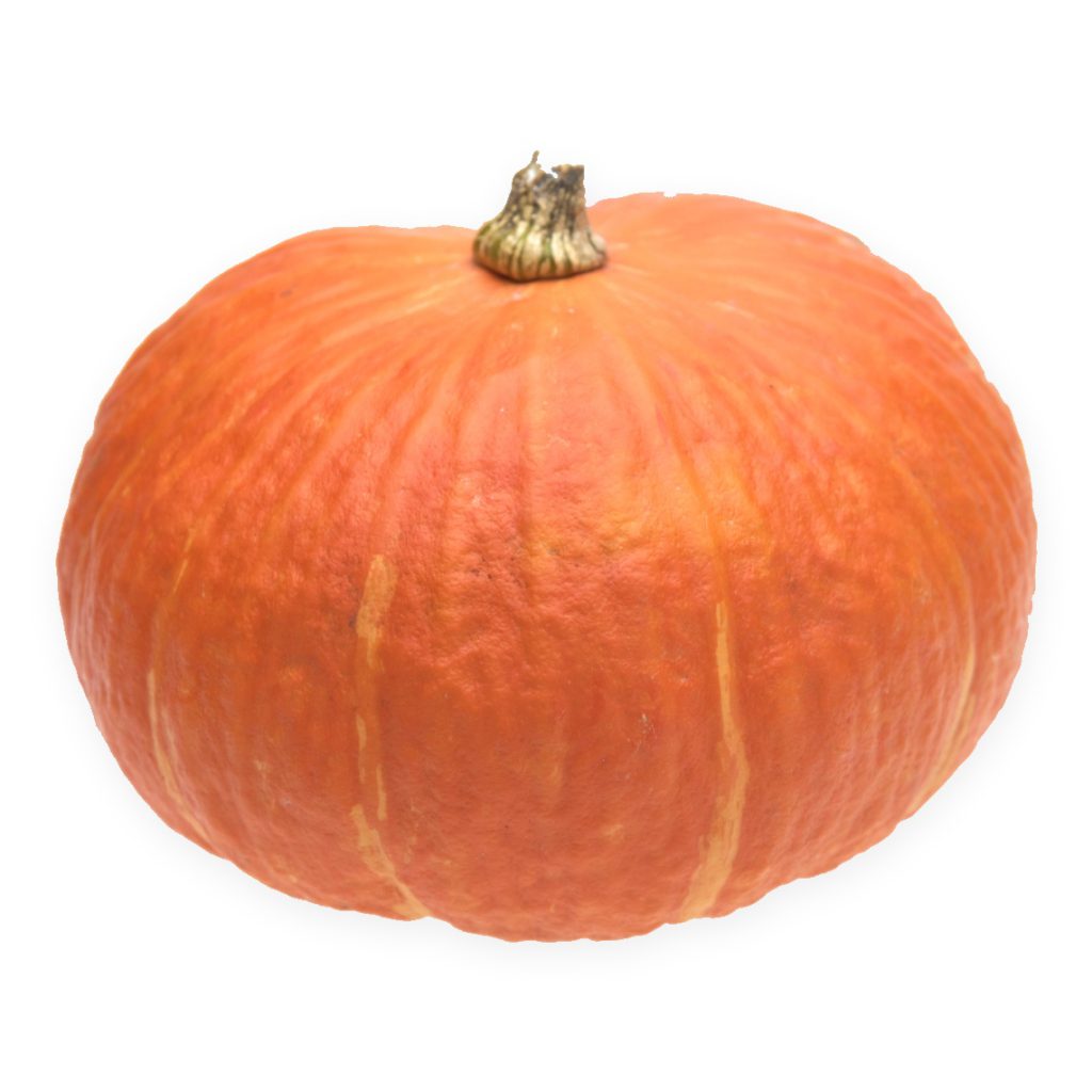 Pumpkin, Huge Exhibition-Size Seeds