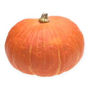 Pumpkin, Huge Exhibition-Size Seeds