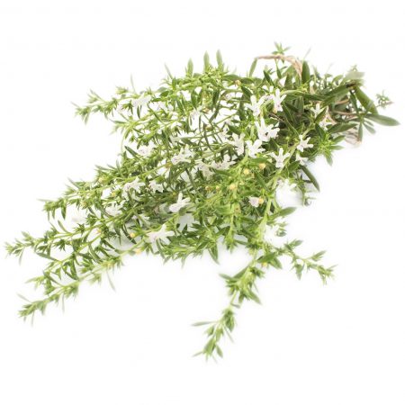 Savory, Summer, Satureja hortensis Seeds