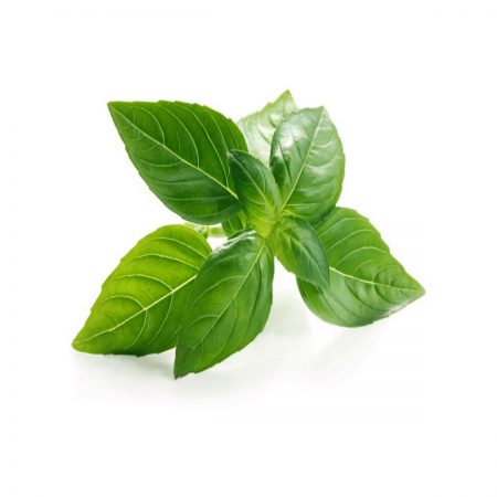 Basil, Italian, Sweet Napoletano Seeds