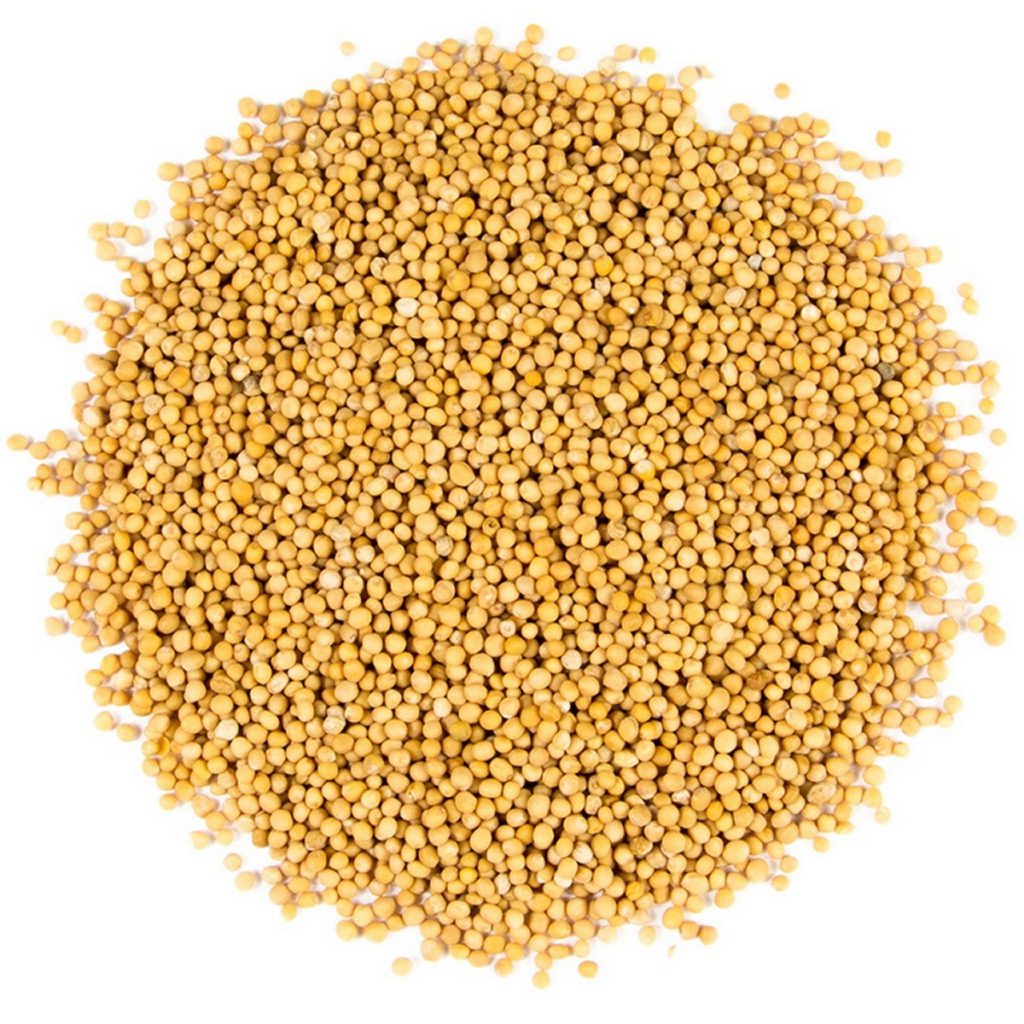 Mustard Seeds, Yellow