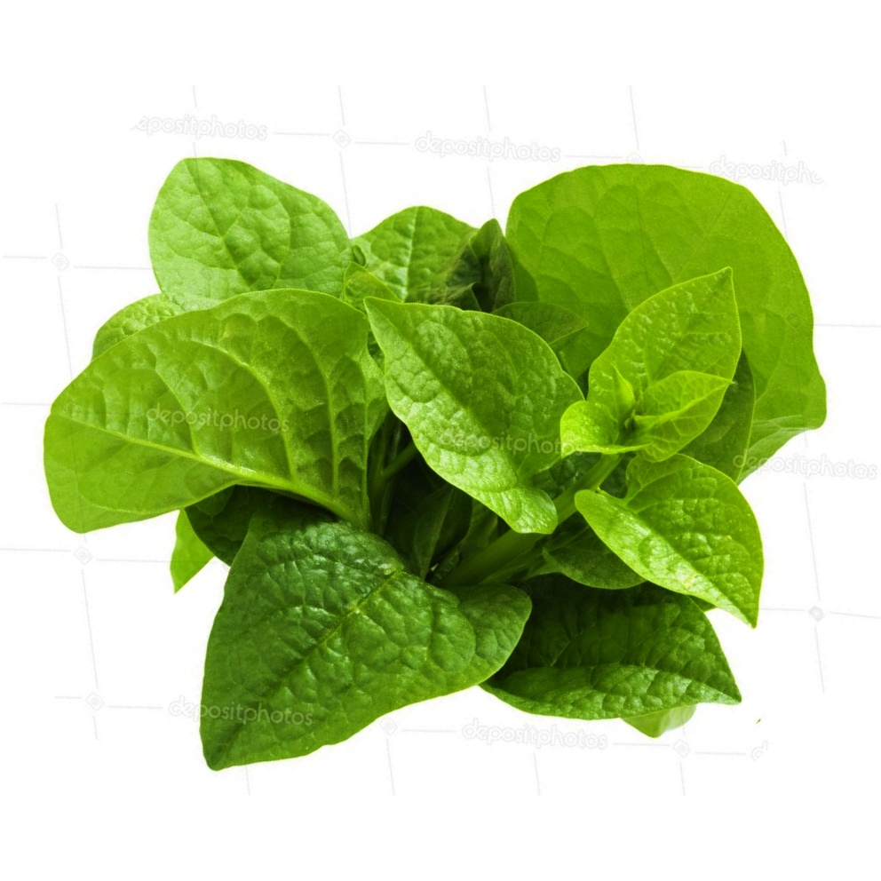 Spinach, Malabar Seeds