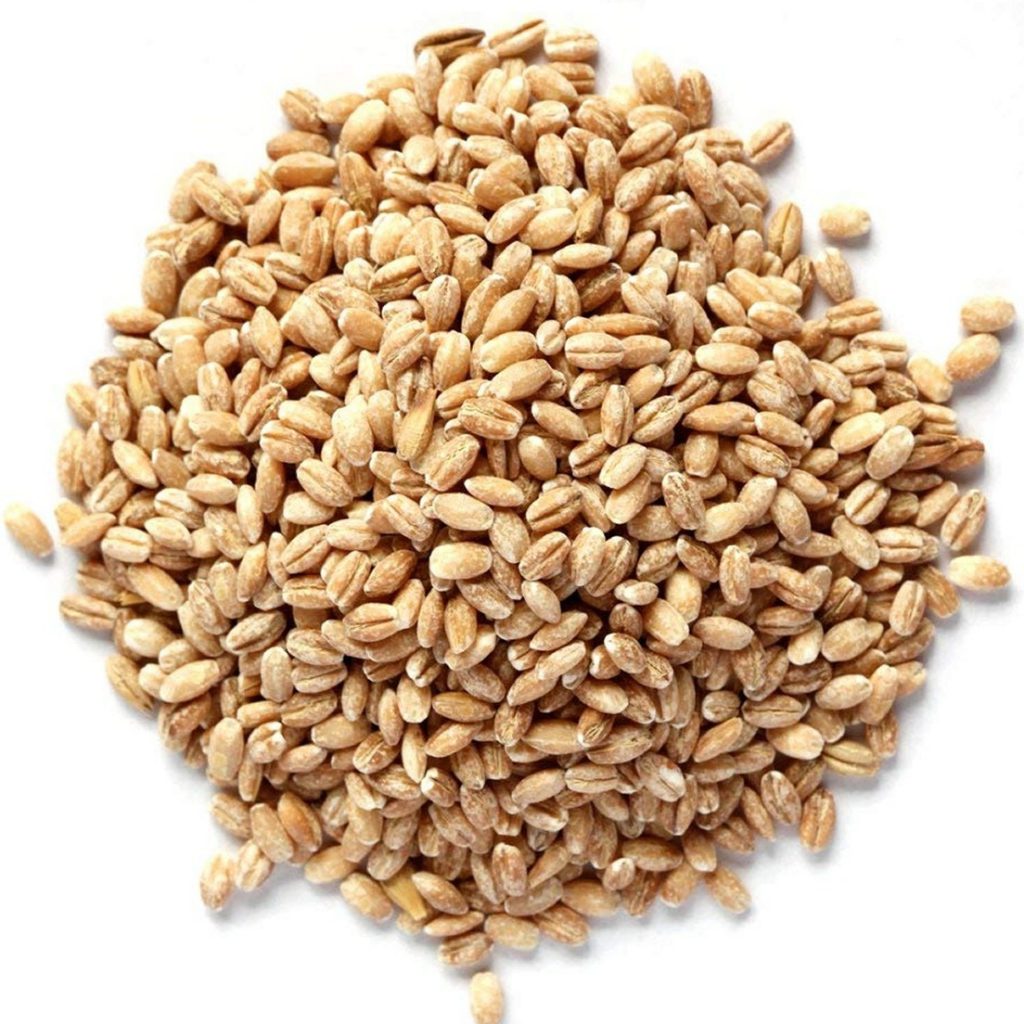 Barley Organic Sprouting Seeds