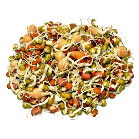 Gourmet Blend Organic Sprouting Seeds