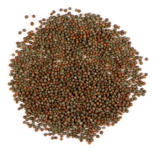 Mustard, Brown Organic Sprouting Seeds