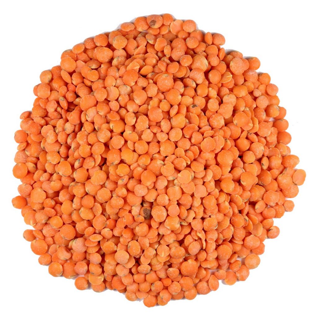 Red Lentil Organic Sprouting Seeds