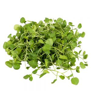 Watercress Organic Sprouting Seeds