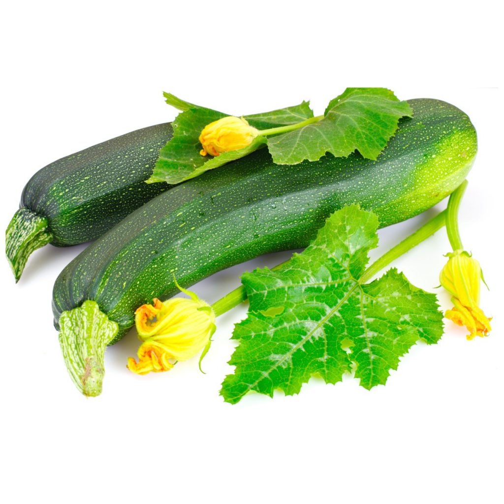 Squash, Green Zucchini Seeds