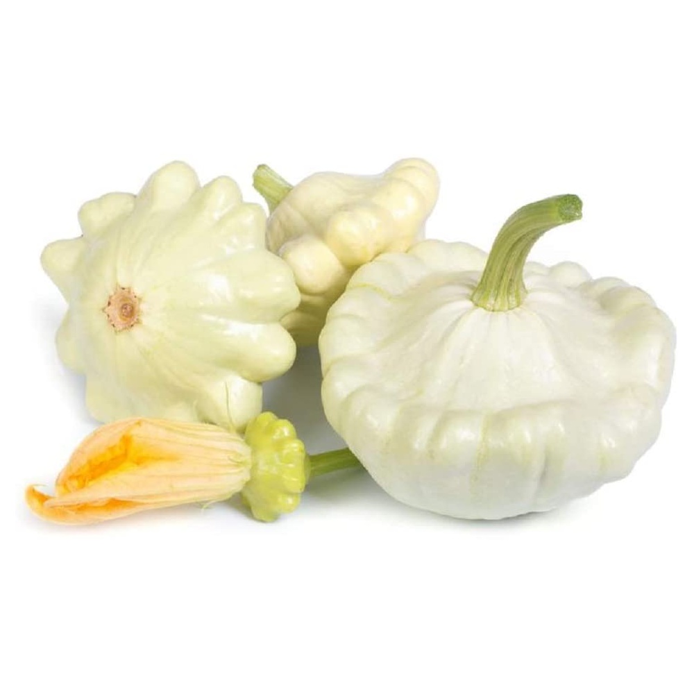 Squash, Pattypan Seeds