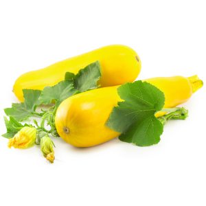 Squash, Yellow Summer Seeds