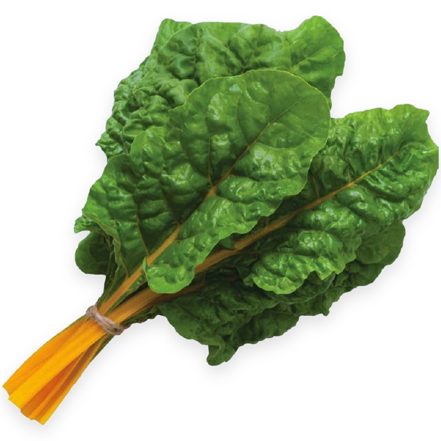 Swiss Chard, Orange Seeds
