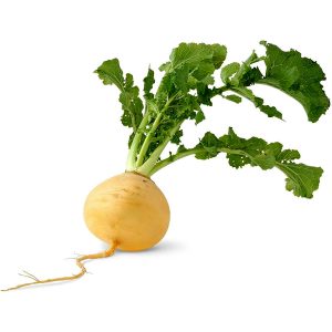 Turnips, Golden Ball Seeds