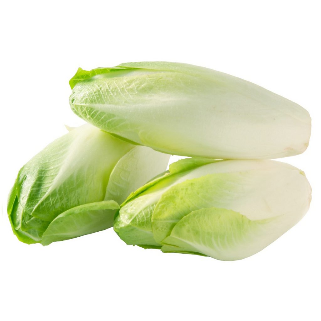 Heirloom Endive Seeds