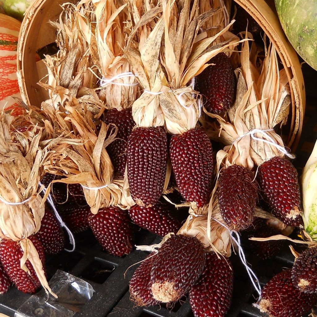 Corn, Strawberry Seeds