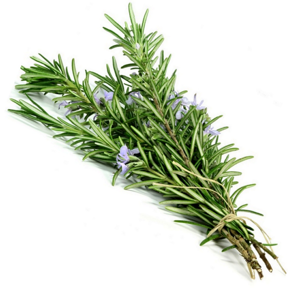 Rosemary, Organic